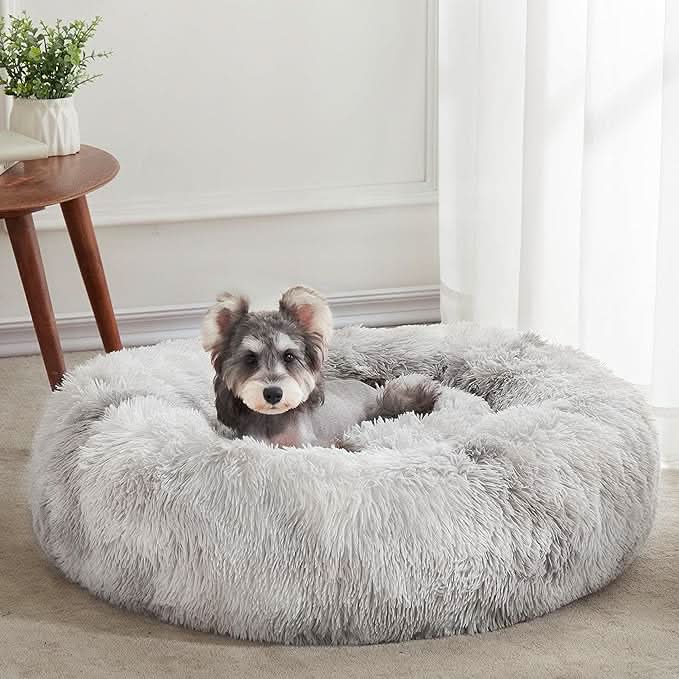 CloudBed™ – Hundens Tryggaste Plats