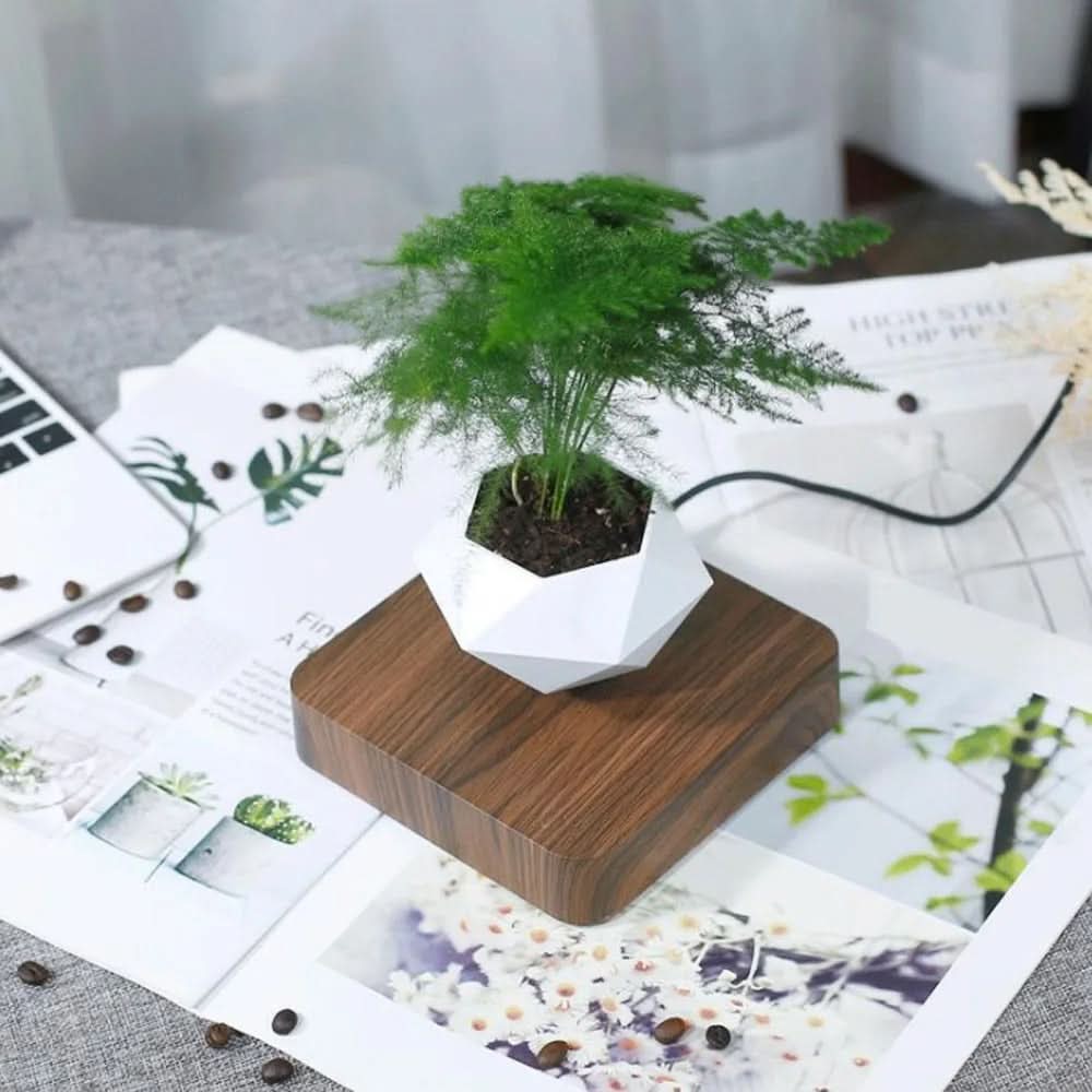 LevitaPot™ – Magnetisk Svävande Blomkruka med 360° Rotation