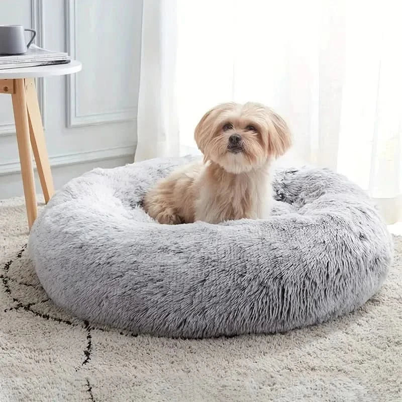 hundsäng