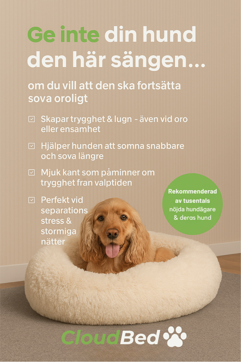 CloudBed™ – Hundens Tryggaste Plats