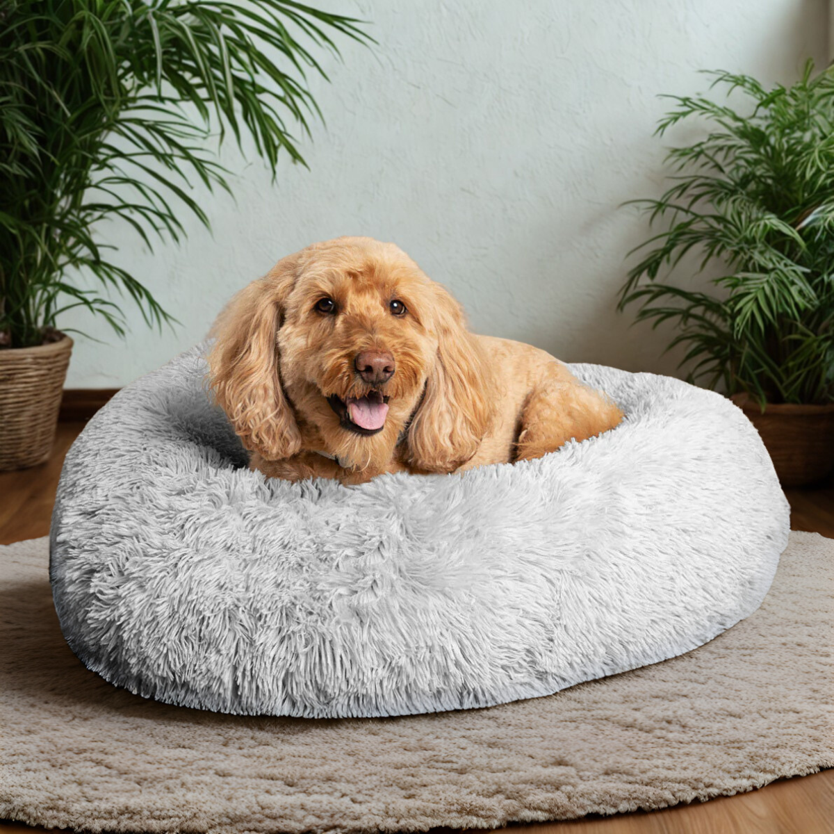 CloudBed™ – Hundens Tryggaste Plats
