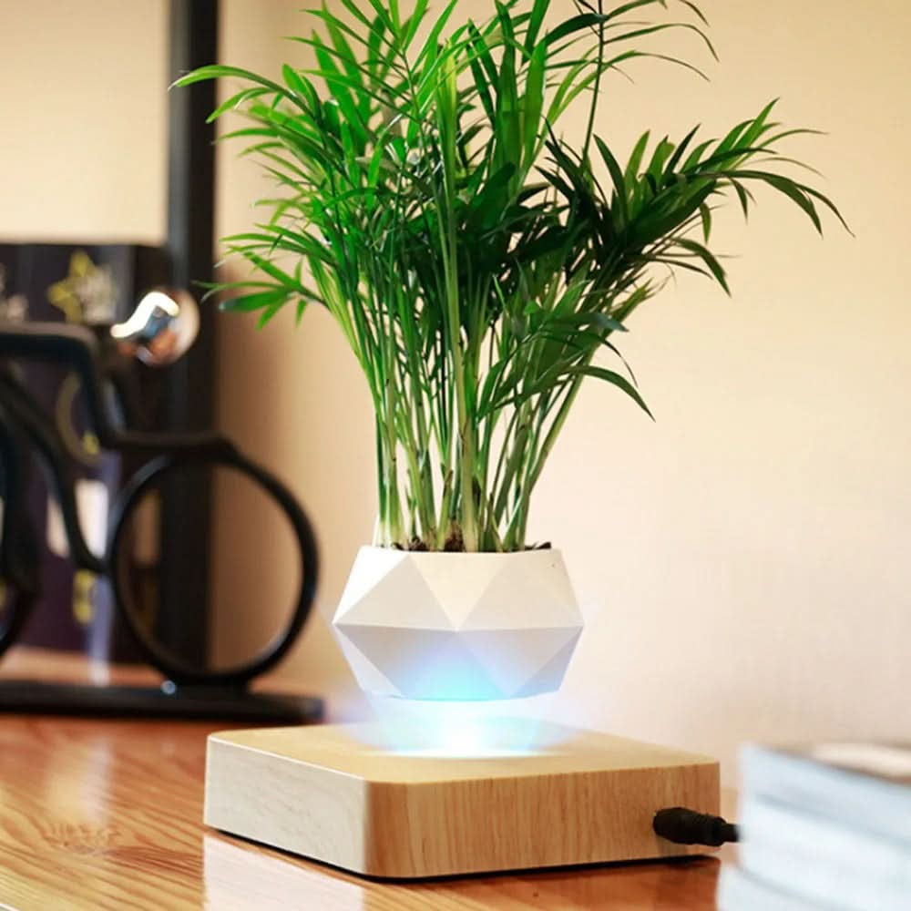 LevitaPot™ – Magnetisk Svävande Blomkruka med 360° Rotation