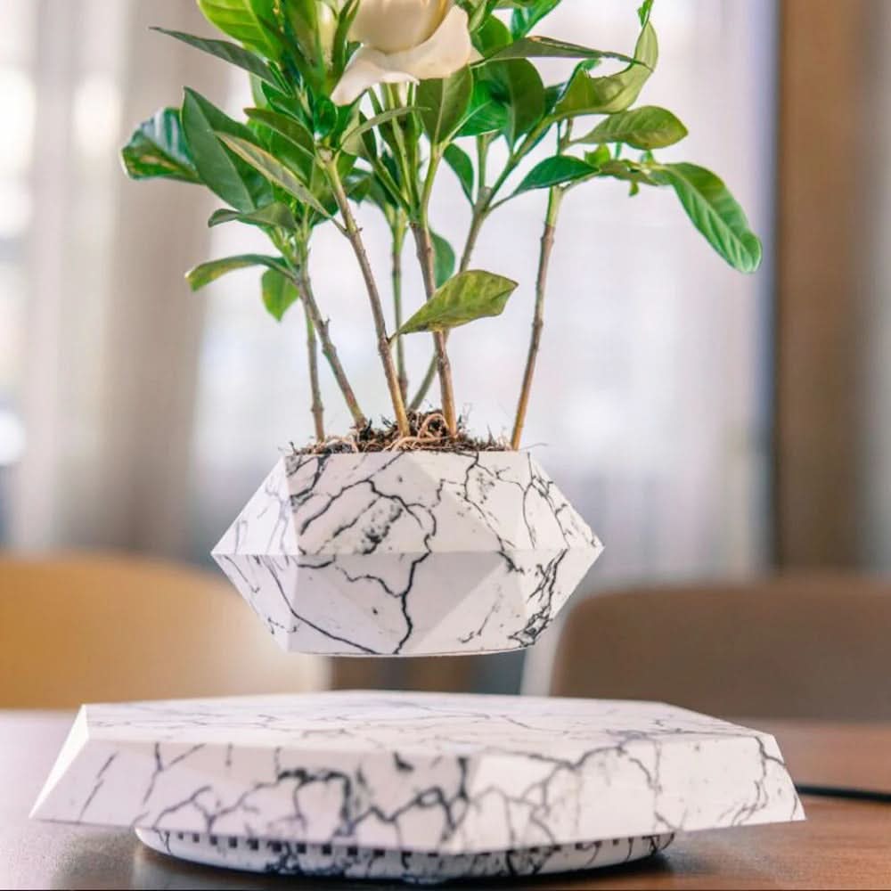 LevitaPot™ – Magnetisk Svävande Blomkruka med 360° Rotation